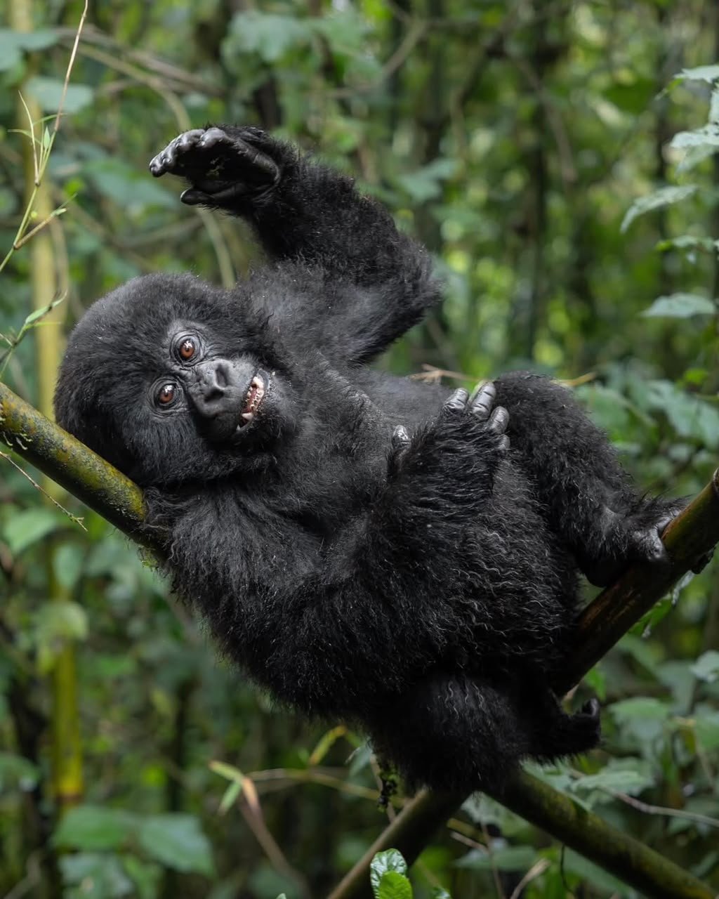 Experience the best wildlife tours